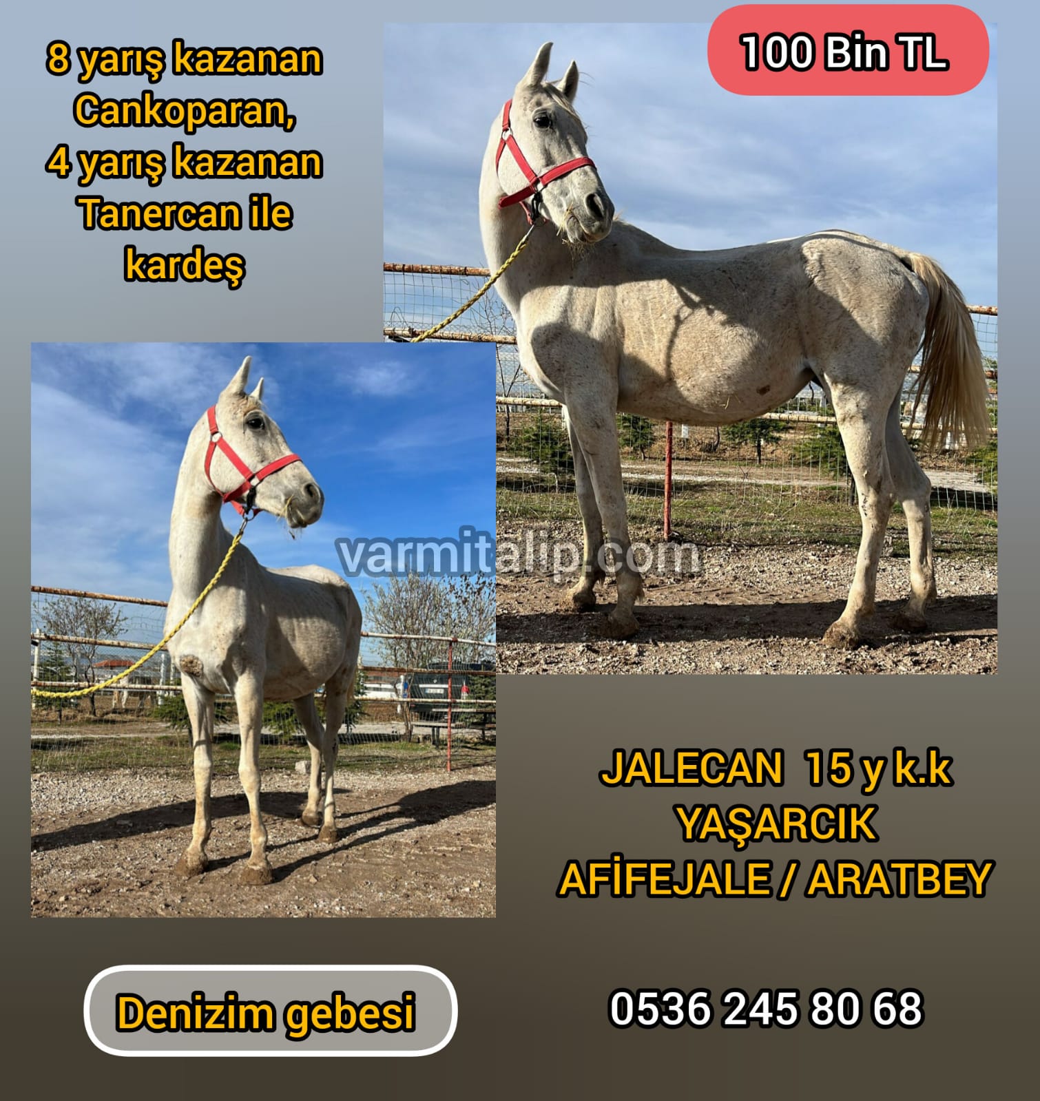 DENİZİM GEBESİ KISRAK JALECAN